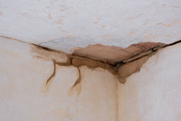 Best Water damage cleanup near me  in St Albans, VT