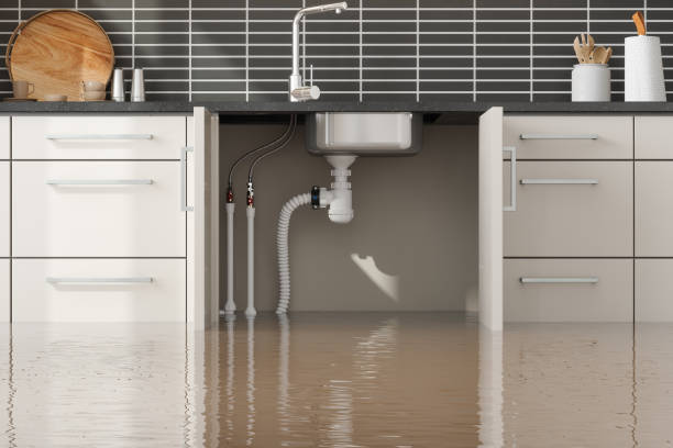 Best Professional water damage repair  in St Albans, VT
